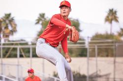 lol官网-棒球总决赛即将打响，冠军归属成谜的简单介绍