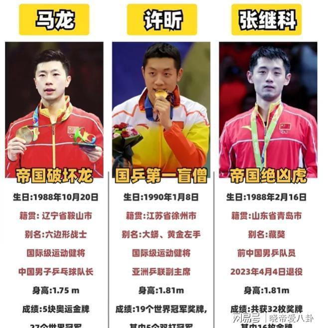 关于中国乒乓球队绝杀比利时乒乓球队，张继科打破历史纪录的信息